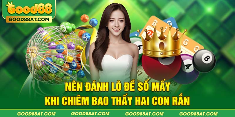 Nên đánh lô đề số mấy khi chiêm bao hai con rắn